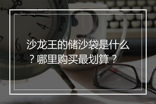沙龙王的储沙袋是什么？哪里购买最划算？