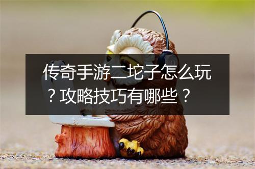 传奇手游二坨子怎么玩？攻略技巧有哪些？