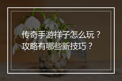 传奇手游祥子怎么玩？攻略有哪些新技巧？