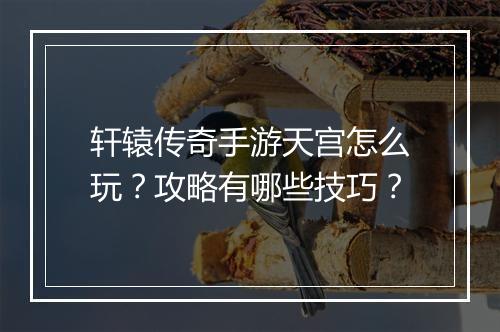 轩辕传奇手游天宫怎么玩？攻略有哪些技巧？
