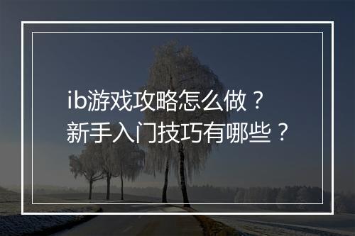 ib游戏攻略怎么做？新手入门技巧有哪些？