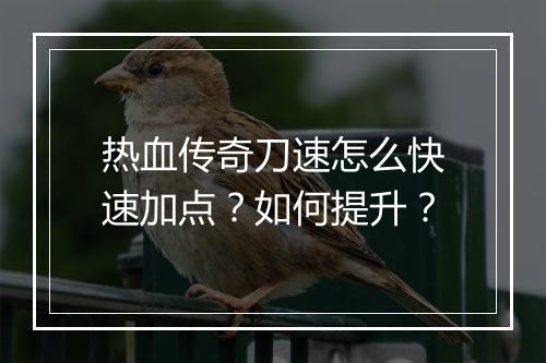 热血传奇刀速怎么快速加点？如何提升？