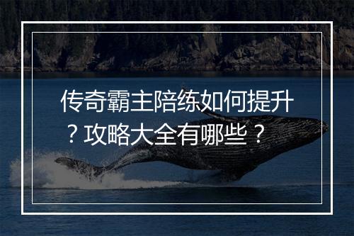 传奇霸主陪练如何提升？攻略大全有哪些？