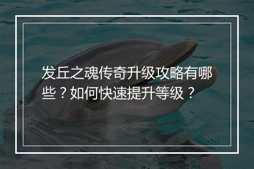 发丘之魂传奇升级攻略有哪些？如何快速提升等级？
