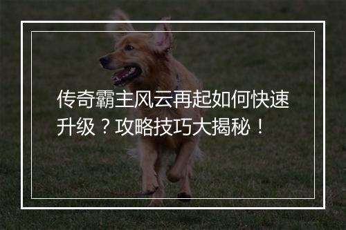 传奇霸主风云再起如何快速升级？攻略技巧大揭秘！