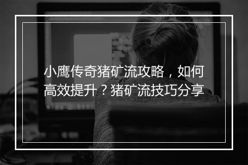 小鹰传奇猪矿流攻略，如何高效提升？猪矿流技巧分享