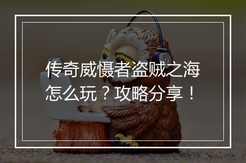 传奇威慑者盗贼之海怎么玩？攻略分享！