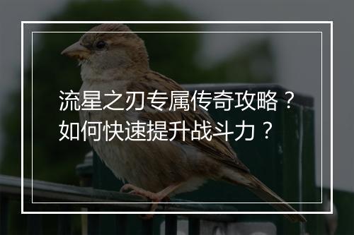 流星之刃专属传奇攻略？如何快速提升战斗力？