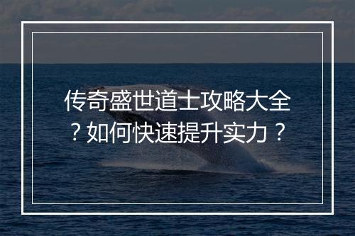 传奇盛世道士攻略大全？如何快速提升实力？