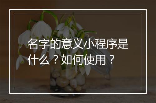 名字的意义小程序是什么？如何使用？