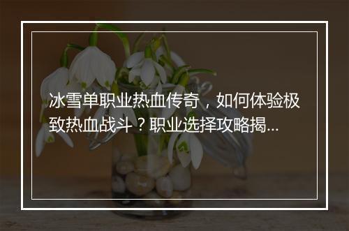 冰雪单职业热血传奇，如何体验极致热血战斗？职业选择攻略揭秘！