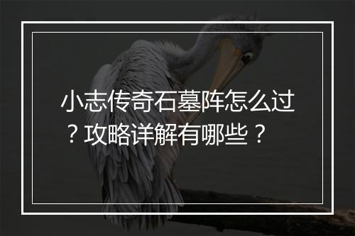 小志传奇石墓阵怎么过？攻略详解有哪些？