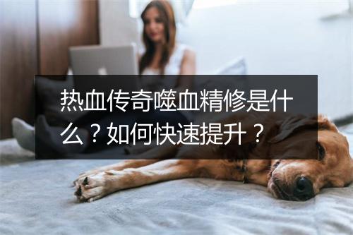 热血传奇噬血精修是什么？如何快速提升？