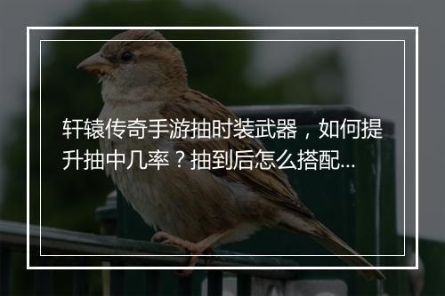 轩辕传奇手游抽时装武器，如何提升抽中几率？抽到后怎么搭配？