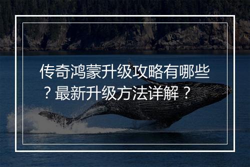 传奇鸿蒙升级攻略有哪些？最新升级方法详解？