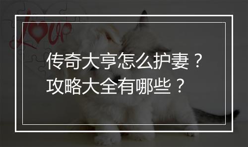 传奇大亨怎么护妻？攻略大全有哪些？