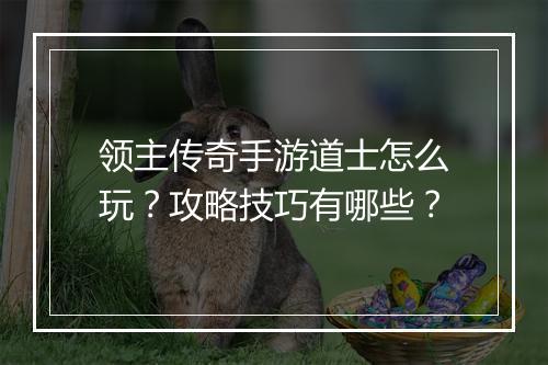领主传奇手游道士怎么玩？攻略技巧有哪些？