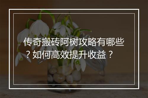 传奇搬砖阿树攻略有哪些？如何高效提升收益？