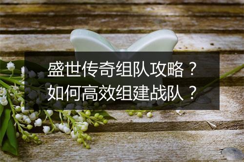 盛世传奇组队攻略？如何高效组建战队？