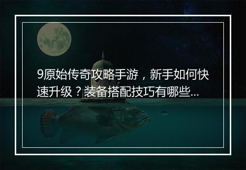 9原始传奇攻略手游，新手如何快速升级？装备搭配技巧有哪些？