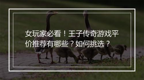 女玩家必看！王子传奇游戏平价推荐有哪些？如何挑选？