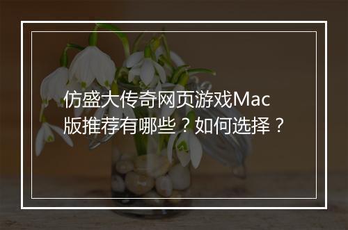仿盛大传奇网页游戏Mac版推荐有哪些？如何选择？