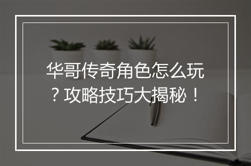 华哥传奇角色怎么玩？攻略技巧大揭秘！