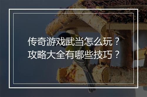 传奇游戏武当怎么玩？攻略大全有哪些技巧？