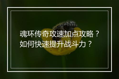 魂环传奇攻速加点攻略？如何快速提升战斗力？