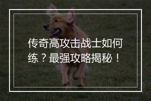传奇高攻击战士如何练？最强攻略揭秘！