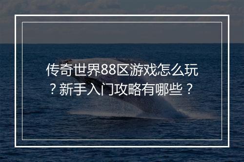 传奇世界88区游戏怎么玩？新手入门攻略有哪些？