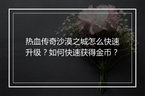 热血传奇沙漠之城怎么快速升级？如何快速获得金币？
