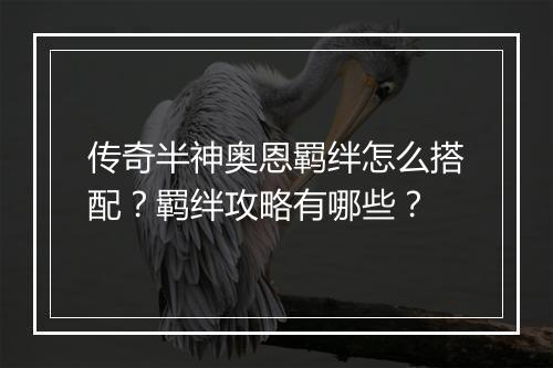 传奇半神奥恩羁绊怎么搭配？羁绊攻略有哪些？