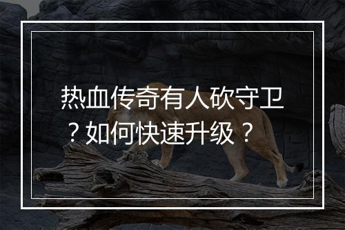 热血传奇有人砍守卫？如何快速升级？