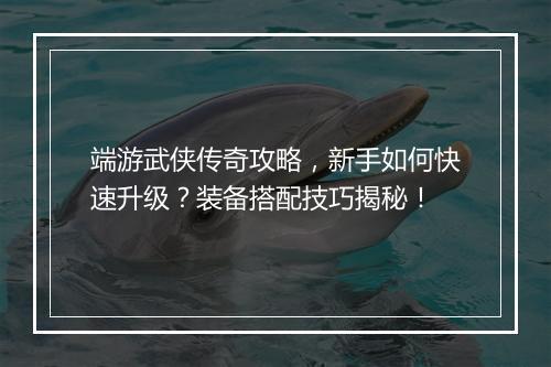 端游武侠传奇攻略，新手如何快速升级？装备搭配技巧揭秘！
