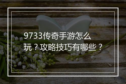 9733传奇手游怎么玩？攻略技巧有哪些？