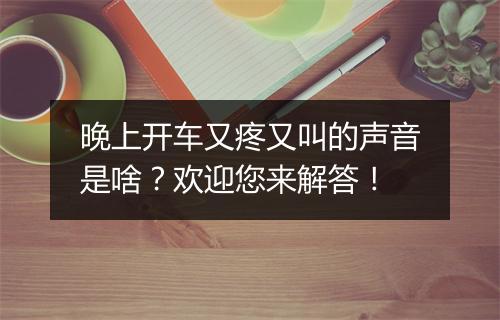 晚上开车又疼又叫的声音是啥？欢迎您来解答！