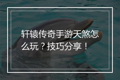 轩辕传奇手游天煞怎么玩？技巧分享！