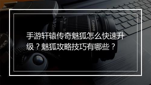 手游轩辕传奇魅狐怎么快速升级？魅狐攻略技巧有哪些？