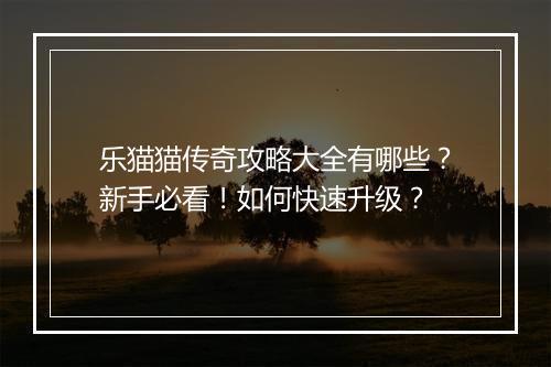 乐猫猫传奇攻略大全有哪些？新手必看！如何快速升级？
