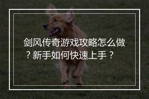 剑风传奇游戏攻略怎么做？新手如何快速上手？