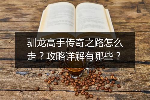 驯龙高手传奇之路怎么走？攻略详解有哪些？