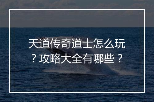 天道传奇道士怎么玩？攻略大全有哪些？