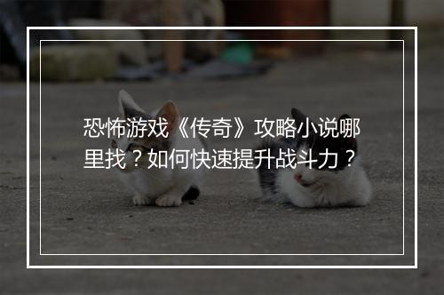 恐怖游戏《传奇》攻略小说哪里找？如何快速提升战斗力？