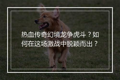 热血传奇幻境龙争虎斗？如何在这场激战中脱颖而出？