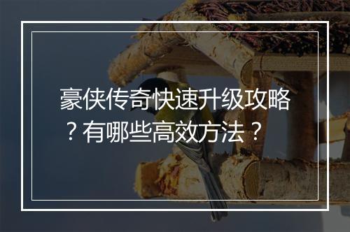 豪侠传奇快速升级攻略？有哪些高效方法？