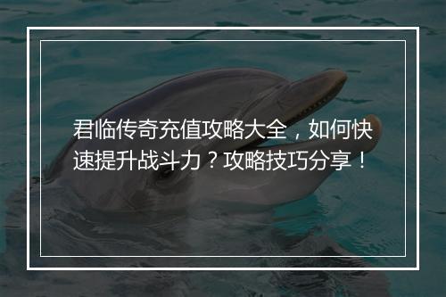 君临传奇充值攻略大全，如何快速提升战斗力？攻略技巧分享！