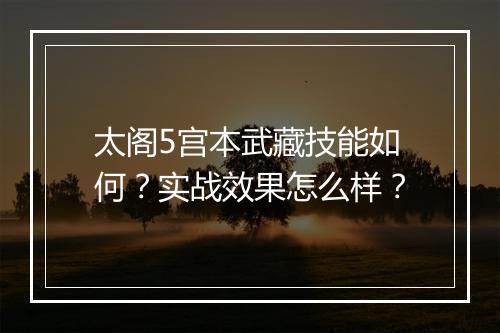 太阁5宫本武藏技能如何？实战效果怎么样？
