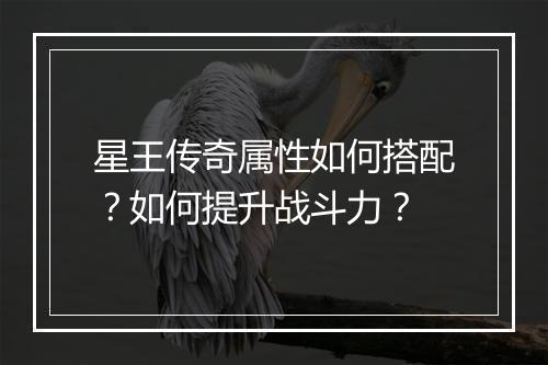 星王传奇属性如何搭配？如何提升战斗力？