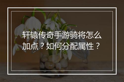 轩辕传奇手游骑将怎么加点？如何分配属性？